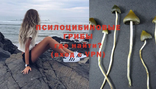 бутират Алексеевка